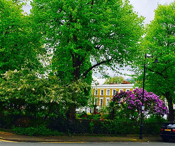 Islington SEO Agency